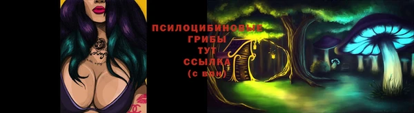 марки lsd Нязепетровск