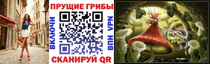 ссылка на мегу ONION Каргат Псилоцибиновые грибы Magic Shrooms купить наркоту